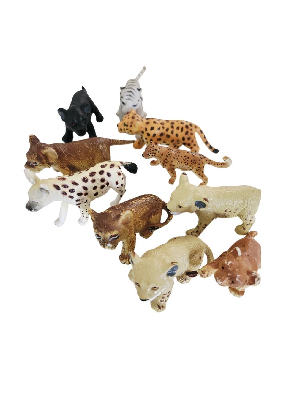Bundle of cheetah, leopards, jungle cats